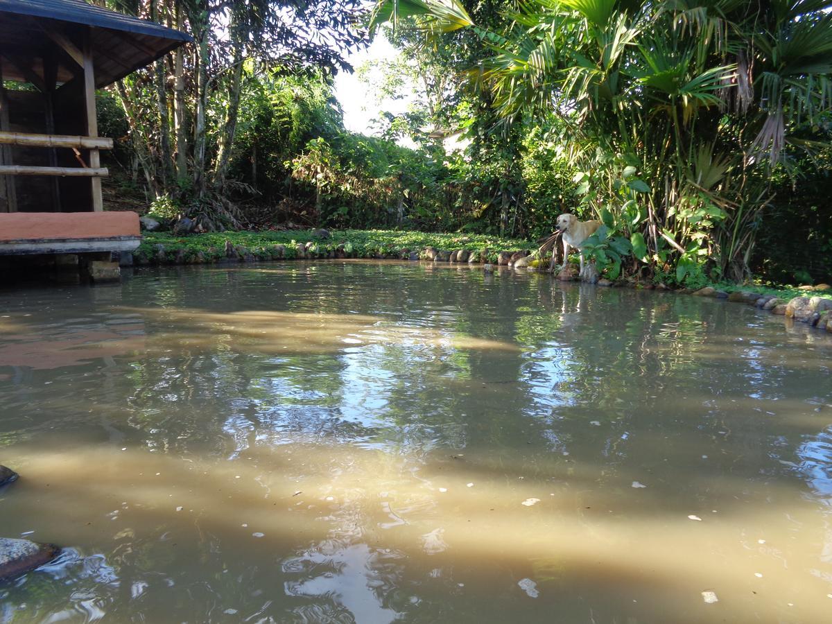 Wisdom Garden Tena Ngoại thất bức ảnh